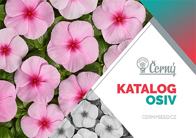 Černý Seed katalog